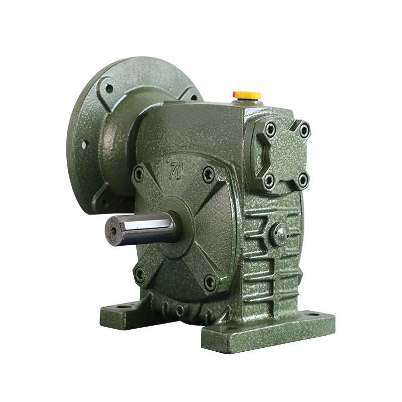 Worm Gear Reducer Whole With Motor Flange WPDS